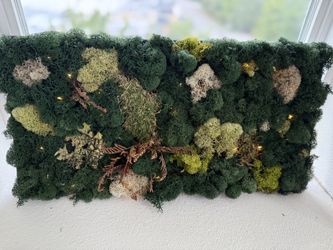 Preserved Moss LED Wall Art, Warm Fairy Lights