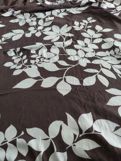Brown / white duvet/ shams 100 % cotton Linen n Things