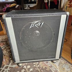 Vintage Peavey 15" Bass Cab/Speaker