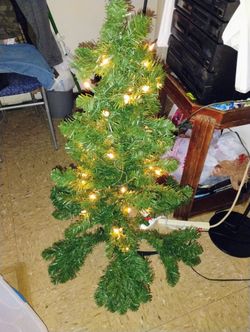 4 Feet Xmas 🎄 Pickup Only Cash 