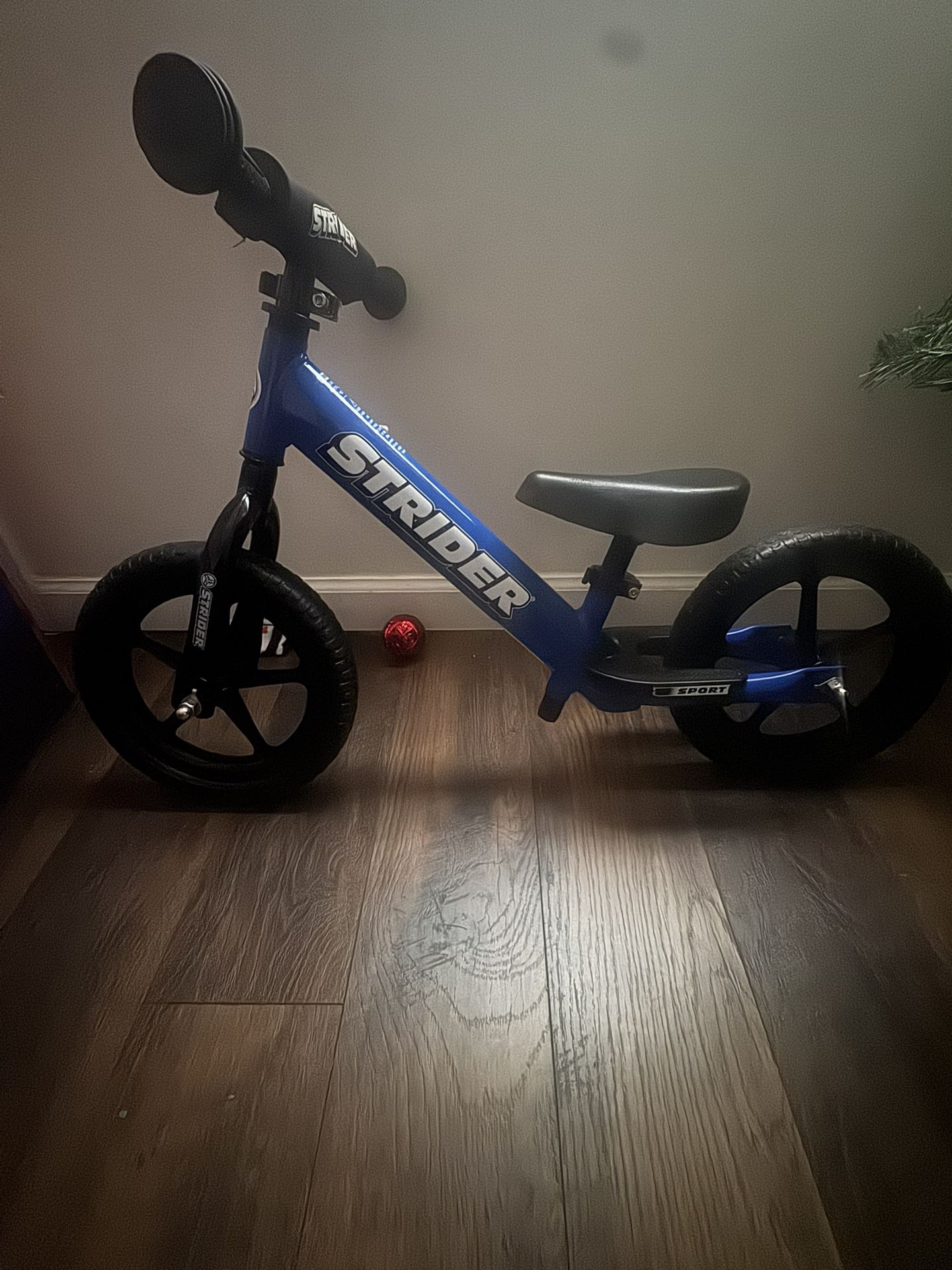 Toddler Bike Training