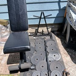 Weights plates with Barbell and adjustable weight bench.