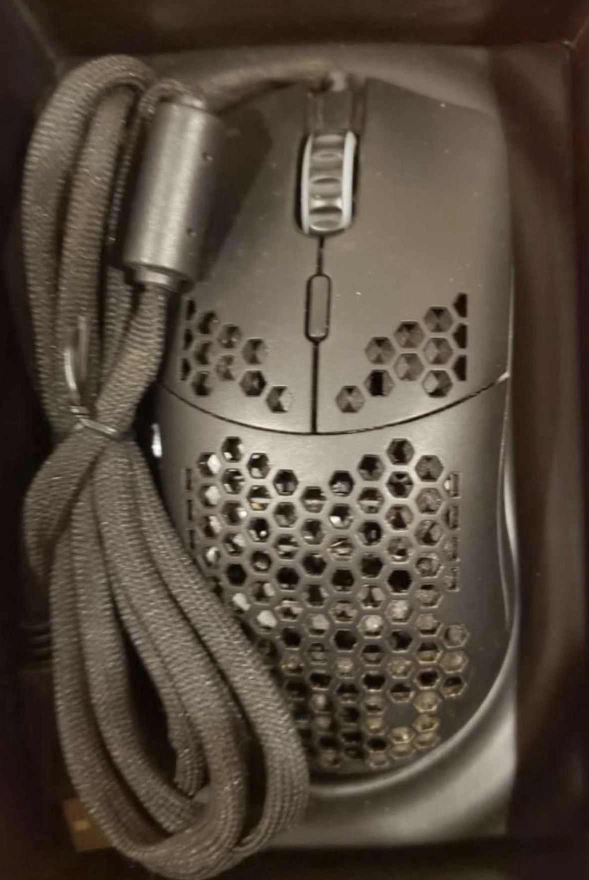Mouse