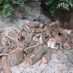 Fire Wood 