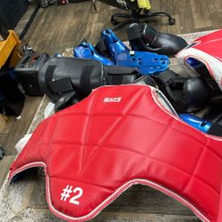 Taekwondo Child Sparring Equipment  $100  