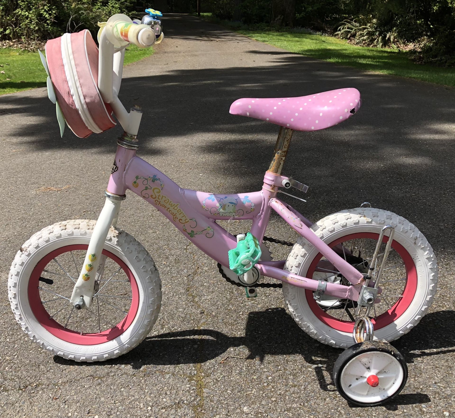 Strawberry Shortcake Bike Kids Girls 