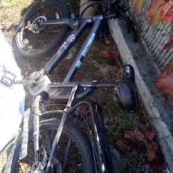 Bosch Boost Electric Bike