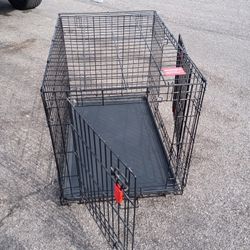 Dog Kennel 