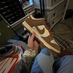 Nike Dunks Brand New