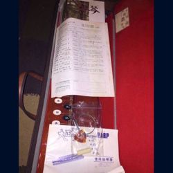 Japanese Musical Harp Suzuki