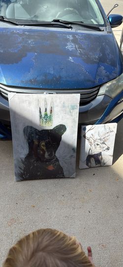 Pictures