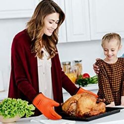 Silicone Smoker Oven Gloves--NEW