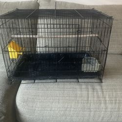 Medium Bird Cage