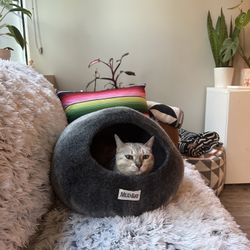 Mud Bay Hooded Cat Bed 