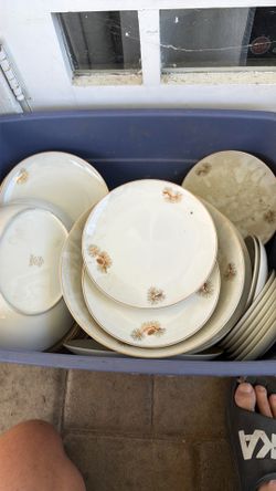 Fukagawa dish set number 904 pine tree