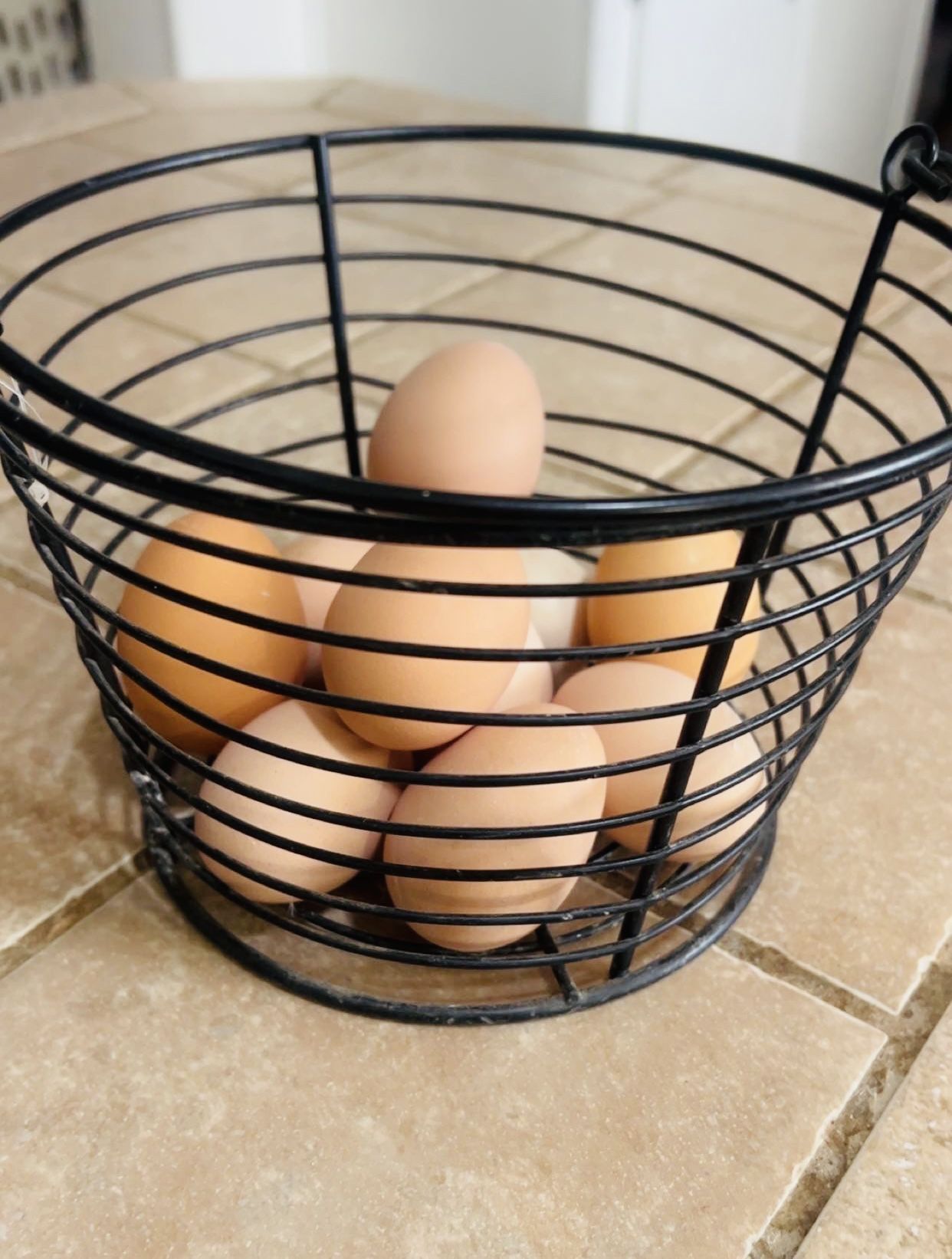 Fresh Farm Eggs