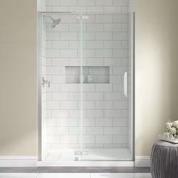 Frameless Shower Door