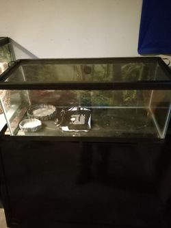 Fish Tank  Or Reptile Tank