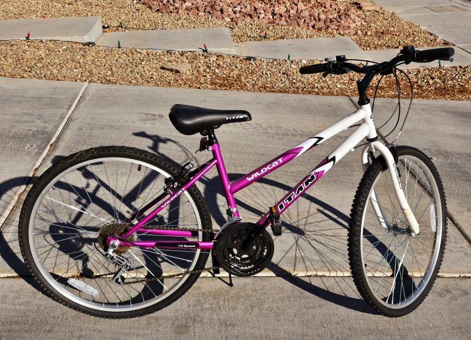Titan wildcat women's bike cheap