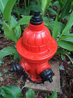 Fire hydrant