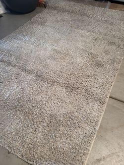 Enchantment Shag Rug