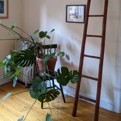 Decorative Bamboo Ladder