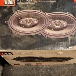 Dual Car Door Speakers 
