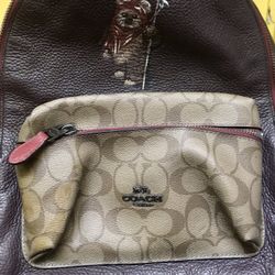 Star Wars X Coach Ewok Mini Backpack for Sale in Long Beach CA