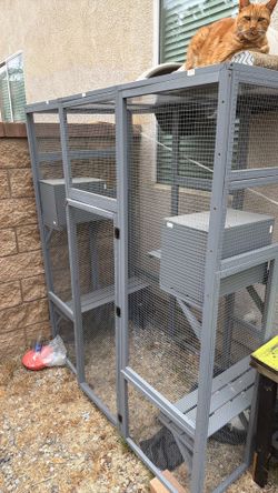 Catio