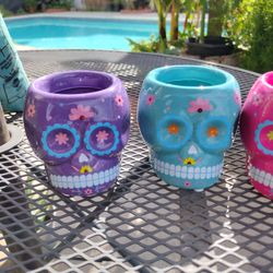 3" Sugar Skull Succulent Pot Catrinas 3 For $15