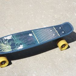 Small In New Condition Skateboard $15 Firm