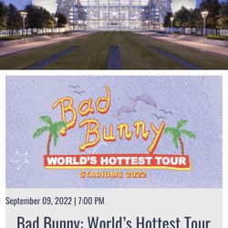 Bad Bunny Concert Ticket 