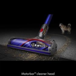 Dyson Vacuum