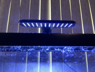 10 Gallon Aquarium Tank (Read Description)