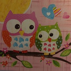 Owl Pictures 