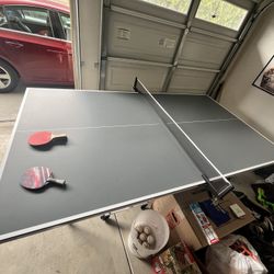 Ping Pong Table