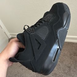 Air Jordan Black Cat 4s