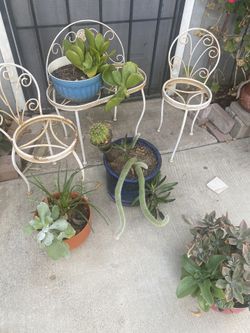 3 Pice Plant Stand 