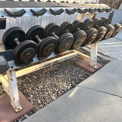 Pro Style Iron Dumbbells 