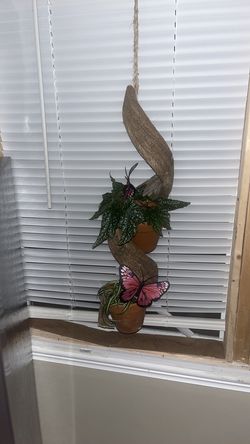 House plants