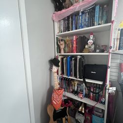 Two Bookshelves