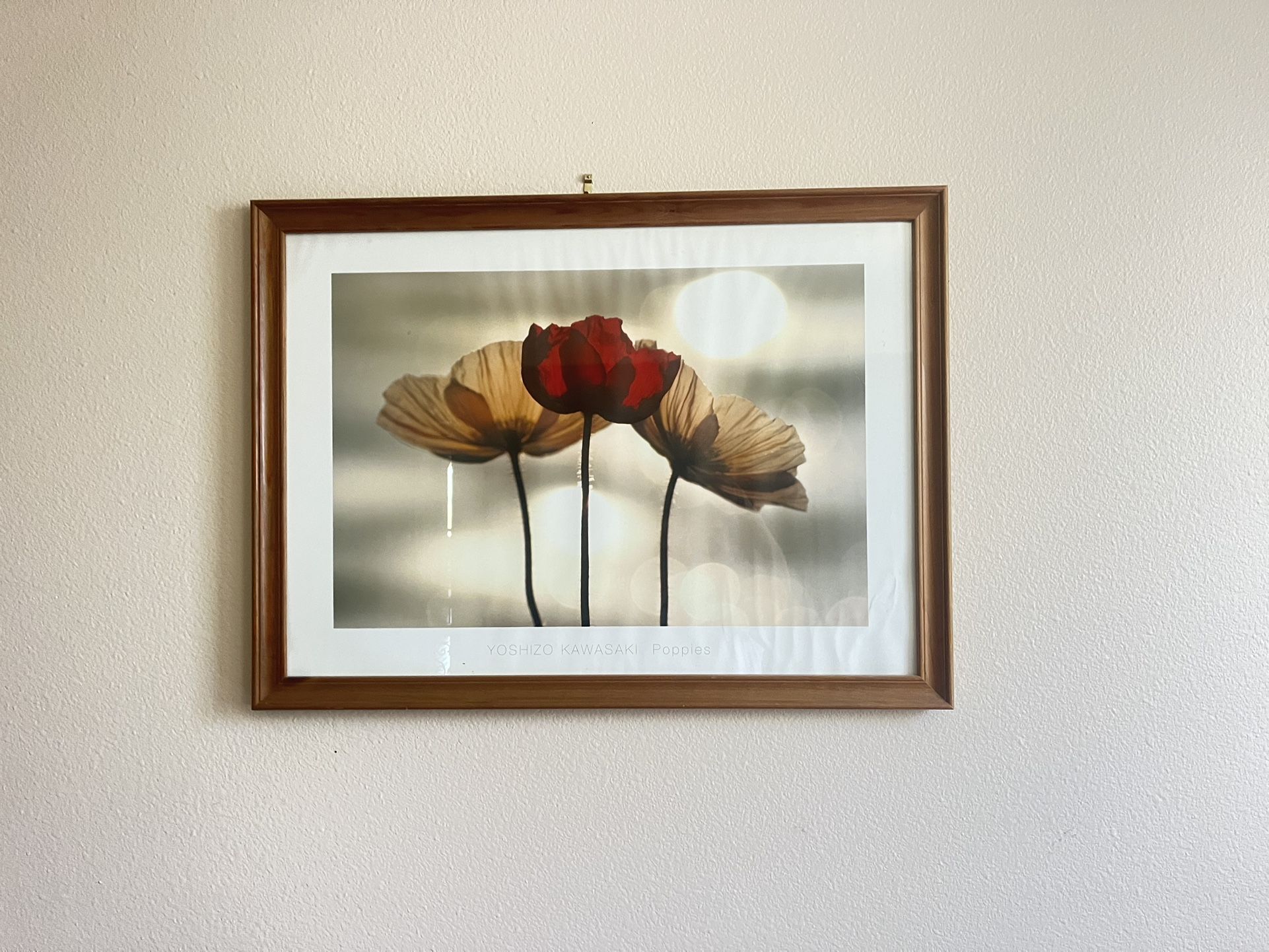Poppy Print by Yoshizo Kawasaki