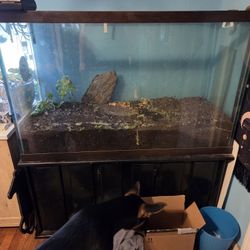 125 Gal Tall Aquarium