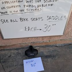 Bike Seat