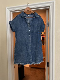 Denim maternity Dress