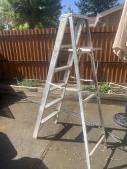 6 Foot Ladder