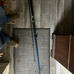 Brawler 12 Ft Surf Rod 
