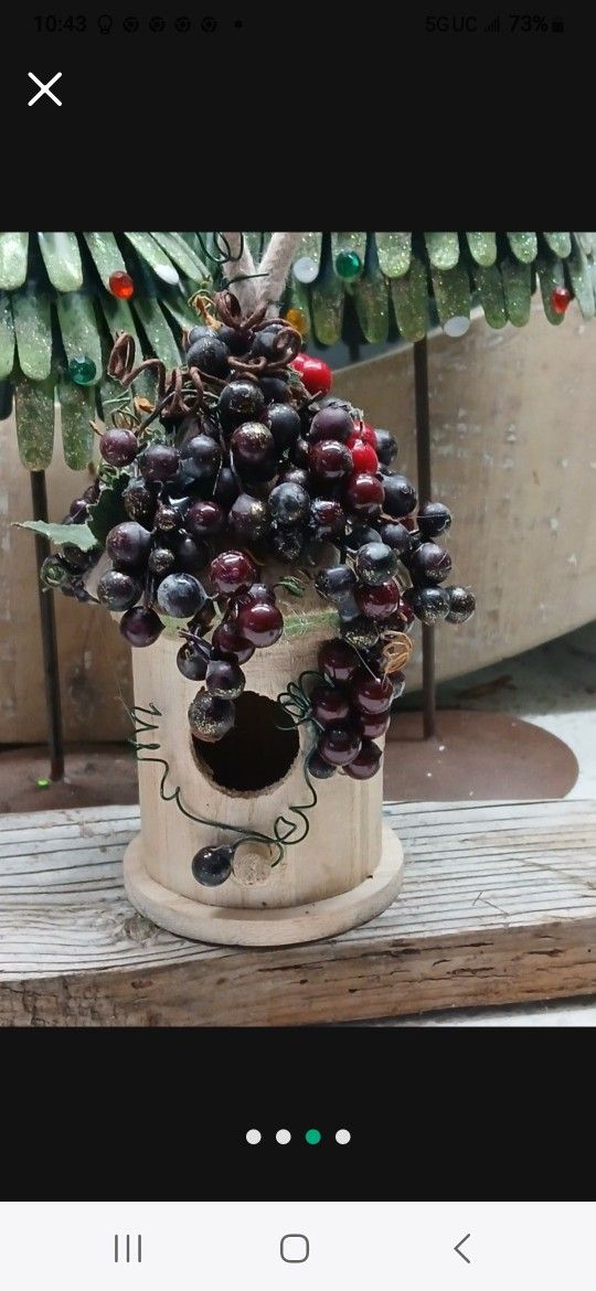 Lil' Bird House Grapes