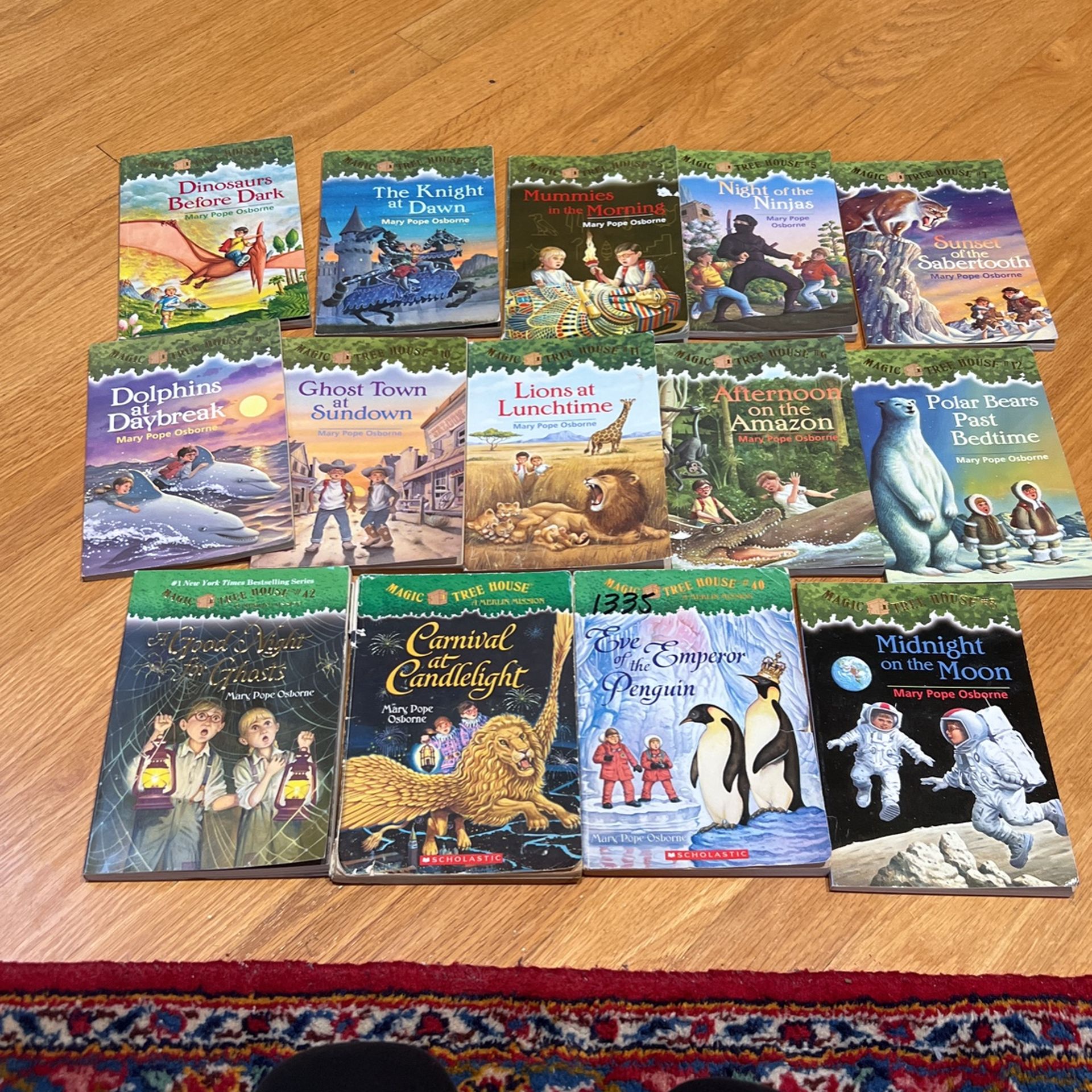 Magic Tree House Books