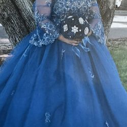 Quinceanera Dress And Accessories For Sale 